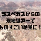 ラスベガスからの絶景ツアー